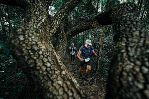 BIB: 
                            <button type="button" onclick="openModal(25392537)" class="btn btn-primary btn-sm float-right btn-popup" data-toggle="modal" data-target=".modal-high-quality">
                        <i class="fas fa-shopping-cart"></i> Add to Cart
                    </button>
                                            <button type="button" onclick="isThisMe(25392537, true)" class="btn btn-success btn-sm float-right btn-popup btn-isme hidden" data-toggle="tooltip" data-placement="bottom" title="นี่คือรูปของคุณใช่ไหม คลิกที่นี่เพื่อเอาเข้าอัลบั้ม">
                        <i class="fas fa-plus"></i> Add to album
                    </button>
                    <button type="button" onclick="isThisMe(25392537, false)" class="btn btn-warning btn-sm float-right btn-popup btn-isnotme hidden">
                        <i class="fas fa-ban"></i> Remove from album
                    </button>